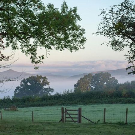 The Tractor Shed Apartment Usk Bagian luar foto