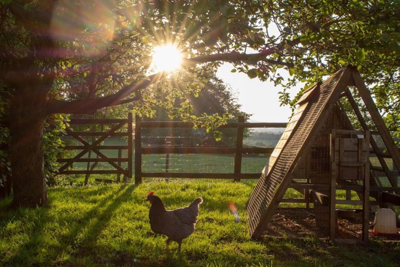 The Tractor Shed Apartment Usk Bagian luar foto